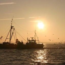 Промысел в Северном море